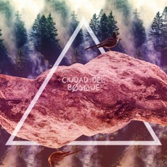 Luces - Ciudad Del Bosque