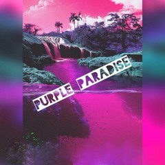 6mob Rambo - Purple Paradise