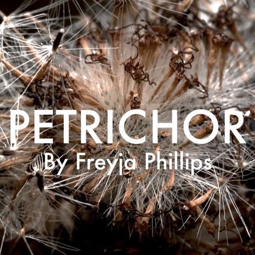 Petrichor DEMO