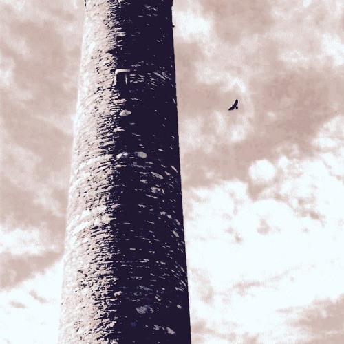 "Widening Circles" by Rainer Maria Rilke - read by Yahia Lababidi