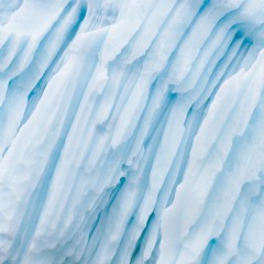 ARCTIC