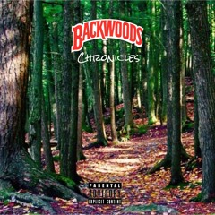 Backwoods Chronicles Pt.1  ft. Josh Stone & Ant House (Prod. Groovy Stone)