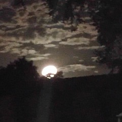 Find Your Self On A Cross