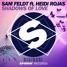 Shadows Of Love (ft. Heidi Rojas)