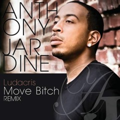 Move Bitch - Ludacris (AJ Chill Remix)