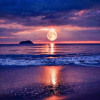 Flores - Oceans