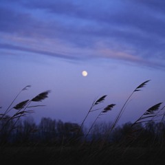 Chasing Cars - cover