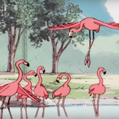 Flight of The Flamingo