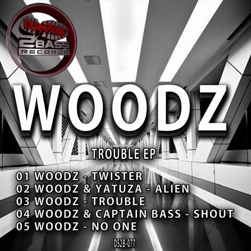 DS2B077 - 04 WOODZ - NO ONE - OUT NOW