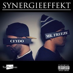 Vorsicht (feat. Babak)