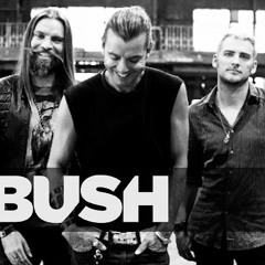 Bush - The Sound Of Winter