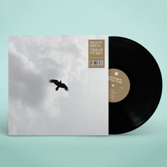 Moon Bros. - "These Stars"