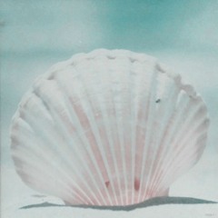 beach (guitar instrumental)