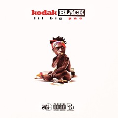 Kodak Black Feat. Boosie - "Slayed"