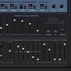 Some Presets Of Siel Wonky Fuzzy Tape Edition