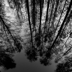 depth perception