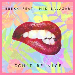 Don't be Nice [ft. Nik Slazar] (Original Mix)