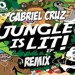 Zoofunktion & Ribellu Feat. iE-z - It's Lit (Gabriel Cruz Remix)*SUPPORTED BY ZOOFUNKTION*