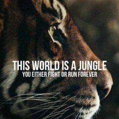 Sace Monroe - Jungle