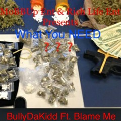 What You Need BullyDaKidd Ft. Blame Me (Video Out Now on YouTube)