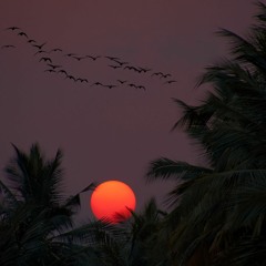 Faded - Earl Sweatshirt - Mac Miller Type Beat 2015