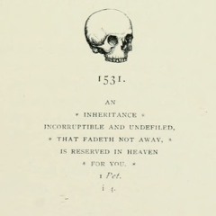 Pure 11