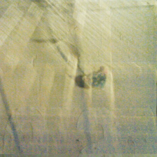 ☰l☰ctros☰xuals