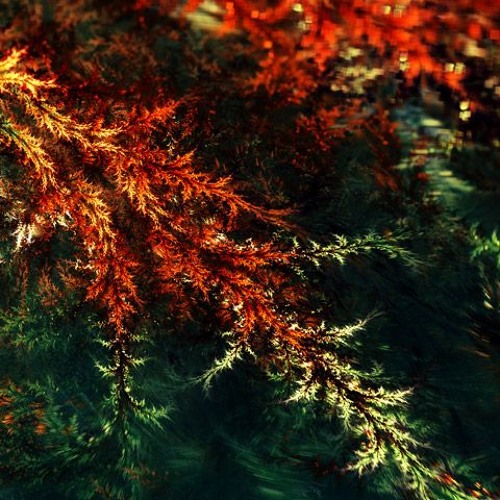 Acid Techno Set