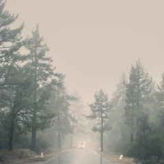 Somewhere in my mind