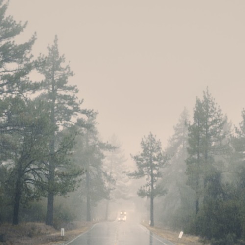 Somewhere in my mind