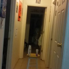 Rebirth West Coast  4sal3