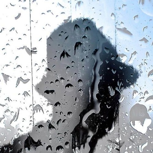 All The Umbrellas In London