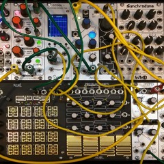 TelHarmonic and Kermit in concert - extended mix.