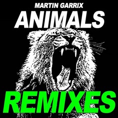 Martin Garrix - Animals (ADLR Remix)