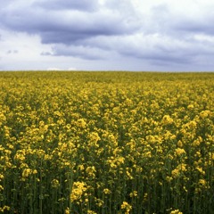 Atmospheric Session June 2016