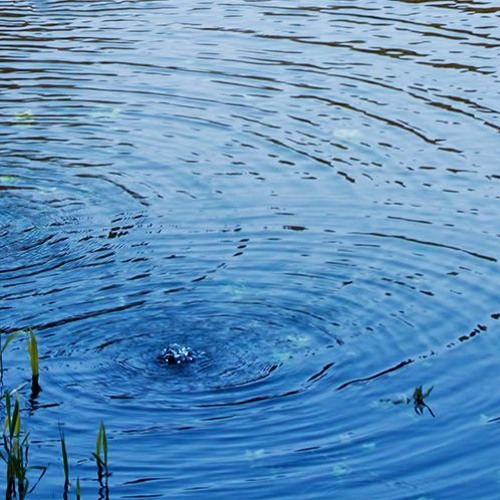 Minamo(Royalty Free Music)