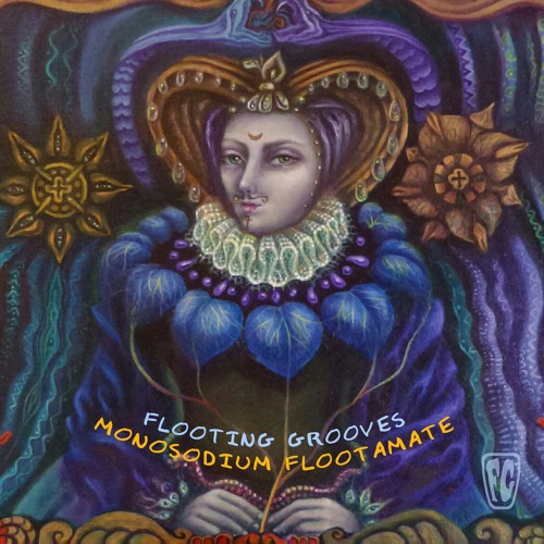 2 - Flooting Grooves - The Infinite Moment