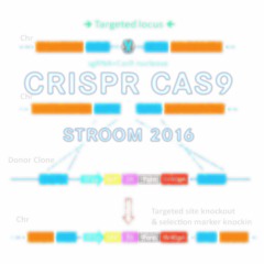 CRISPR CAS-9  + + +  New Animation Video 2017 + + +
