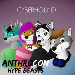 Late Night Furry Party