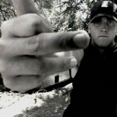 Eminem Just Don T Give A Fuck  Remix