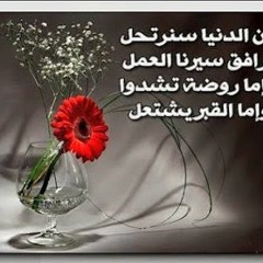 متنوع