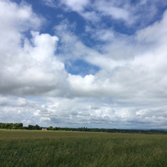 A mixed day #AudioMo