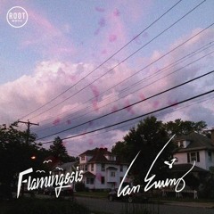 Infinite Us (Ian Ewing & Flamingosis Flip)
