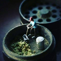 Free From Concrete