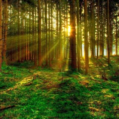 Oh Land - Wolf And I Acoustic Cover