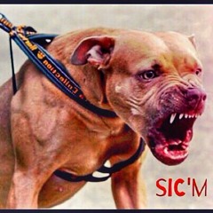 Sic'm (MistressSpain aka Diamond Dutch Featuring Eruditious) Beat By HanSolo