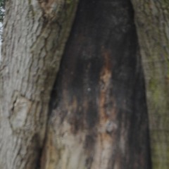 Hope Hope - Produced by Twiz(it)