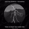 Calvin Harris (feat. Rihanna) - This Is What You Came For (M09. Bootleg)