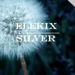 ELEKIX - Silver