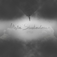 Ninja Shakedown (Original Mix)FREE DOWNLOAD